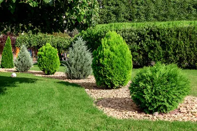 Bez Ogródek - usługi ogrodnicze